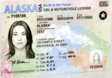 Drivers License