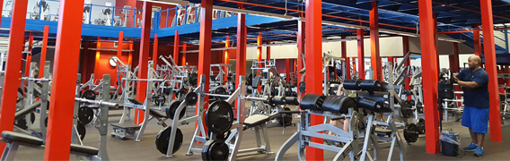 fitness equipment