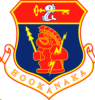 Air National Guard Insignia